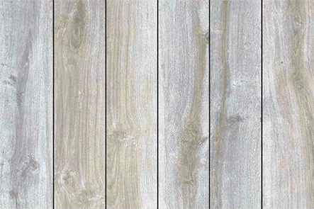 White birch hardwood